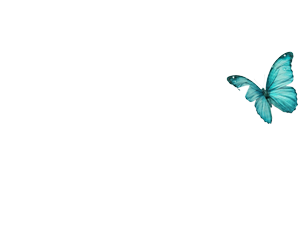 Pek Çok